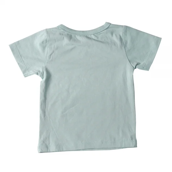 Bộ thun bé trai tay ngắn Carrot B105011