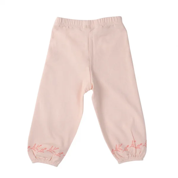 Bộ thun bé gái tay dài Carrot G1105011