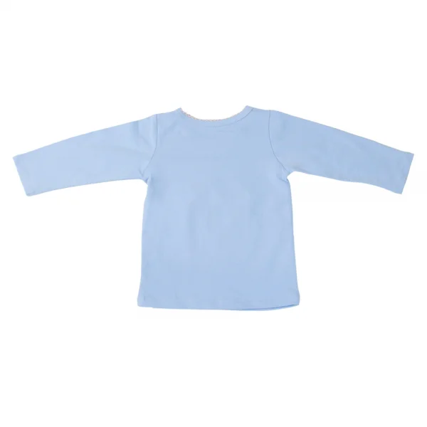 Bộ thun bé gái tay dài Carrot G1105011