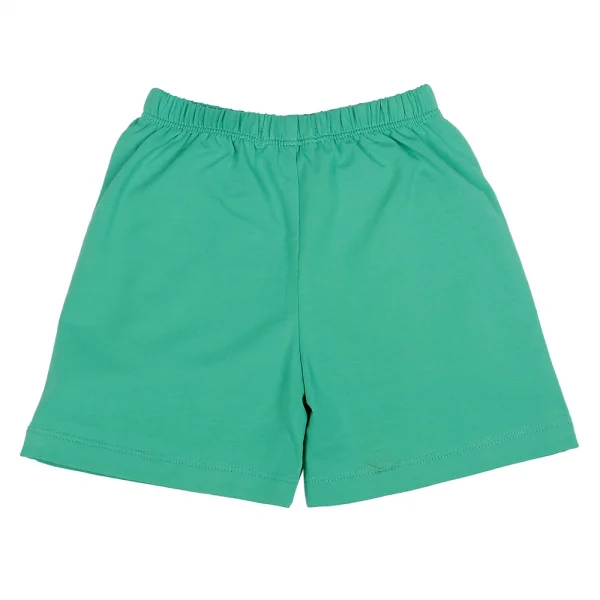 Bộ thun bé trai ngắn Carrot B016005