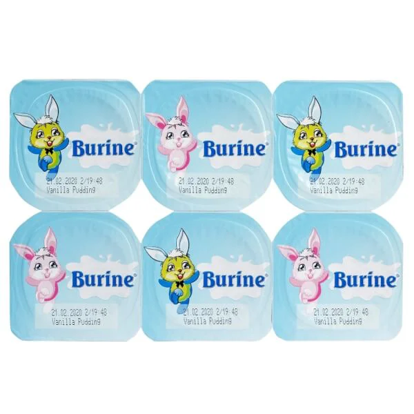 Pudding Burine Vanille dành cho trẻ từ 6 tháng tuổi 300g