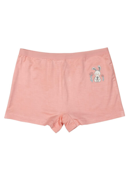 Bộ 3 quần lót bé gái boxer CF G109018 (2-3Y,Nhiều màu)