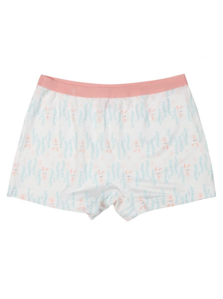 Bộ 3 quần lót bé gái boxer CF G109018 (2-3Y,Nhiều màu)
