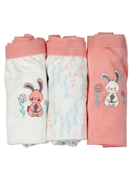 Bộ 3 quần lót bé gái boxer CF G109018 (2-3Y,Nhiều màu)