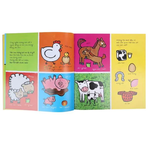 Cuốn sách lớn rực rỡ về loài vật
