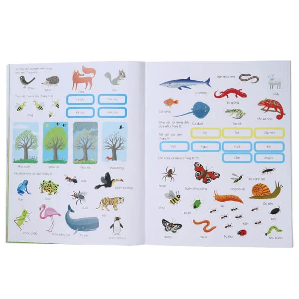 Thế giới trong tay em - Thiên nhiên diệu kỳ