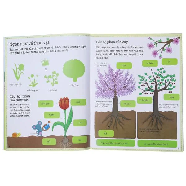 Thế giới trong tay em - Sự sinh trưởng của vạn vật