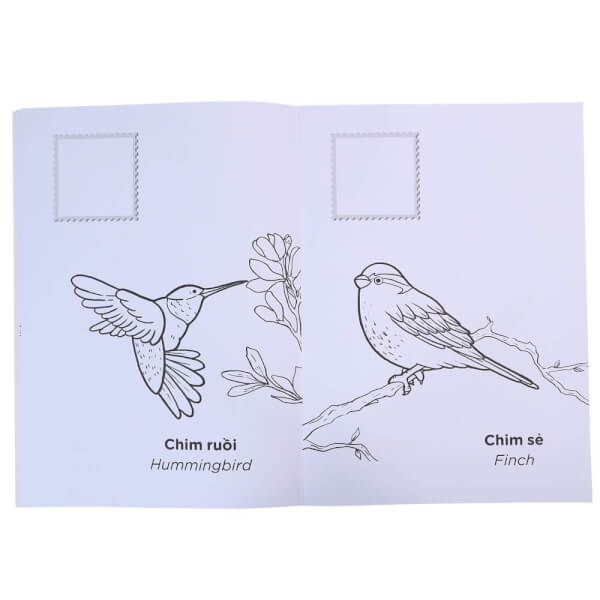Tớ là hoạ sĩ - Các loài chim