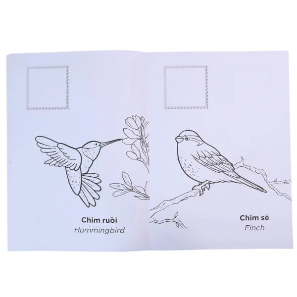 Tớ là hoạ sĩ - Các loài chim