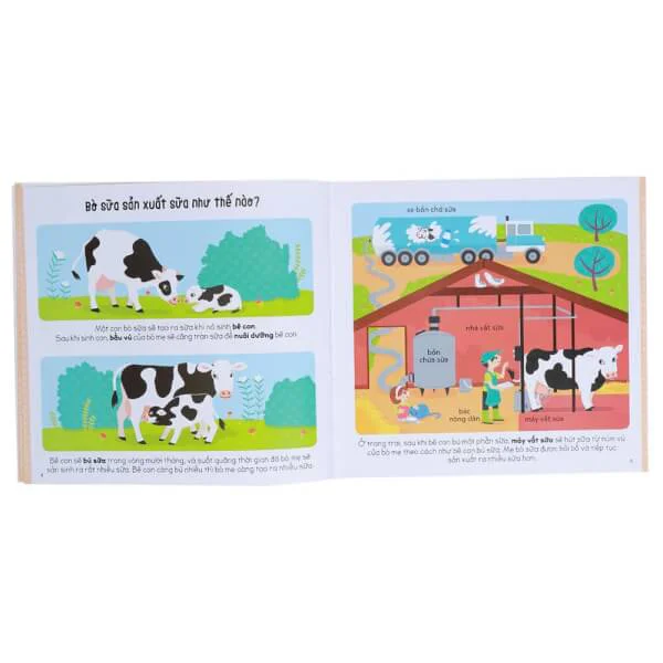 Cẩm nang khoa học bằng tranh Larousse - Như thế nào?