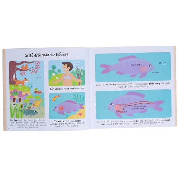 Cẩm nang khoa học bằng tranh Larousse - Như thế nào?