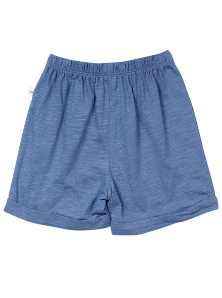 Bộ thun bé trai ngắn mặc nhà CF B1220044 (1-2Y/2-3Y,Xanh)