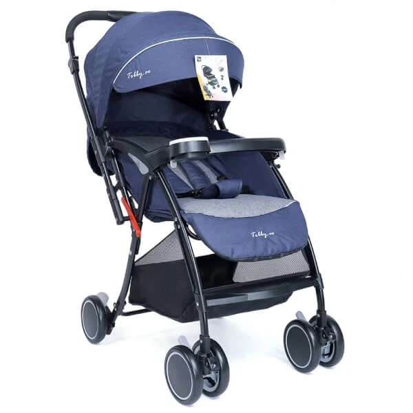 Xe đẩy 2 chiều CD-S570R màu xanh ghi và xám