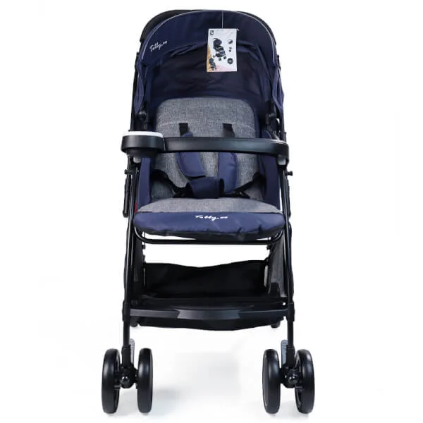 Xe đẩy 2 chiều CD-S570R màu xanh ghi và xám