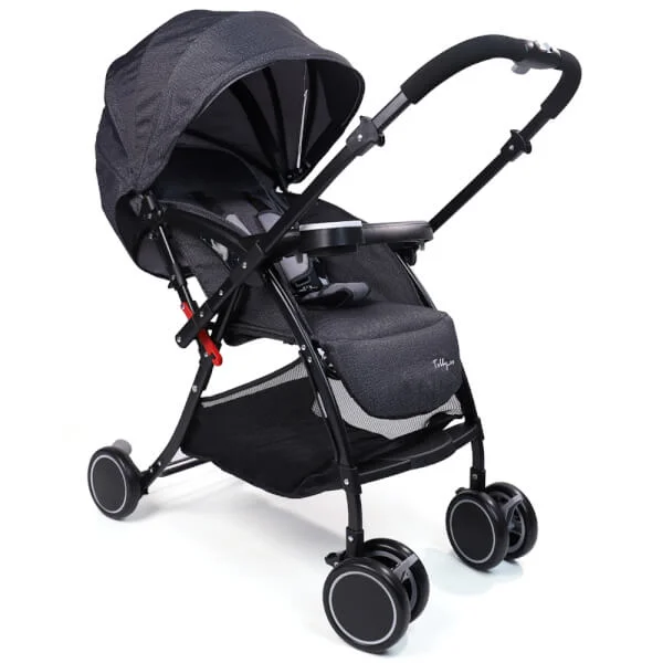 Xe đẩy 2 chiều Tobby CD-S570R màu xám