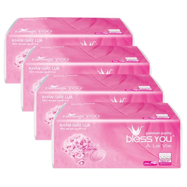 Combo 4 khăn giấy lụa rút 2 lớp Bless You Alavie - 250 tờ