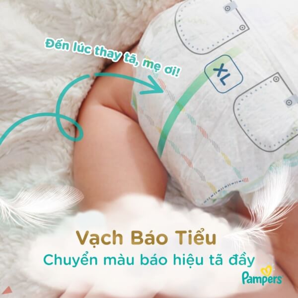 Combo 5 Bỉm tã quần Pampers Nhật size M 48 miếng (6-11kg, New)