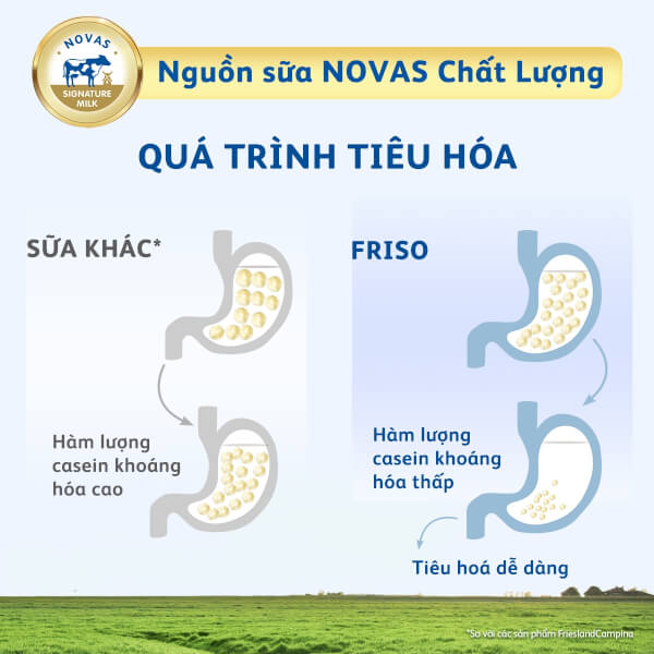 Combo 6 lon Sữa bầu Friso Mum Gold 900g hương cam
