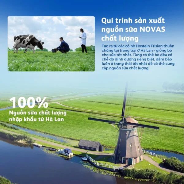 Combo 2 lon Sữa bầu Friso Mum Gold 400g hương cam