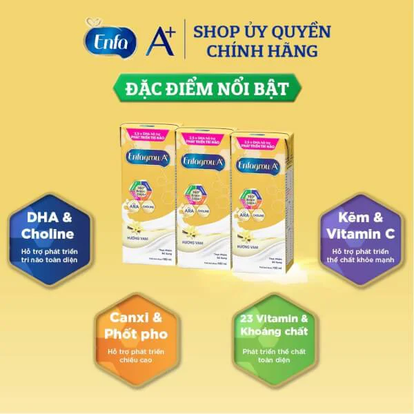 Combo 2 thùng thực phẩm bổ sung: Enfagrow A  360 Brain DHA  hương Vani, Lốc 3 hộp - Mới (16 lốc)