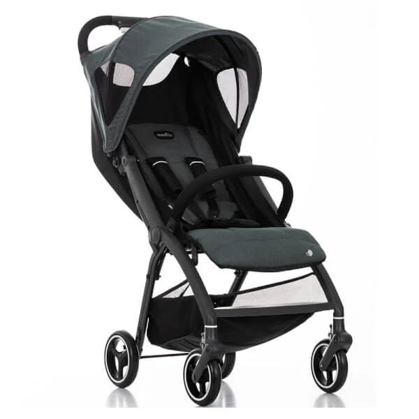 Xe đẩy cao cấp Evenflo D639S (màu xám)