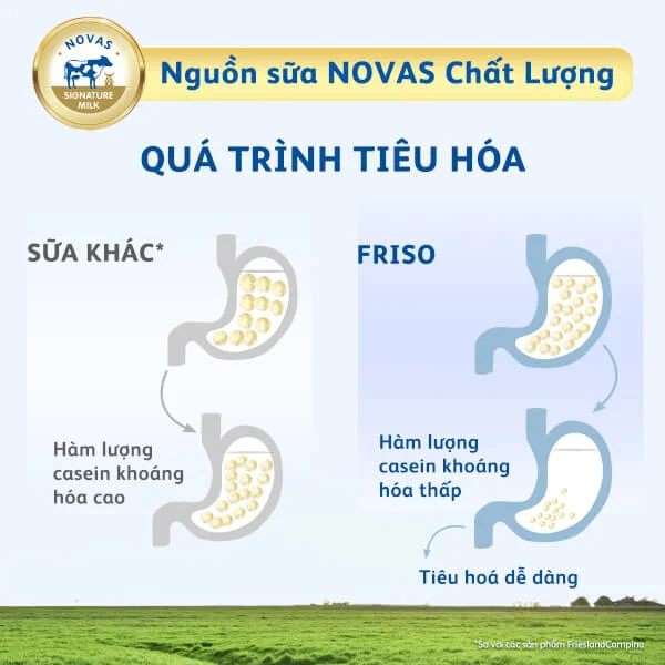 Combo 6 Friso Mum Gold hương Cam, 400g