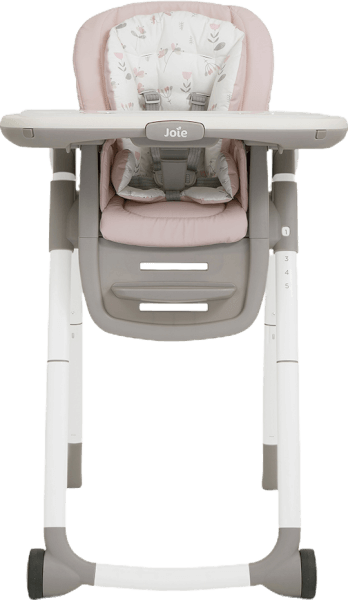 Ghế ăn trẻ em Joie Multiply 6in1 Flowers Forever