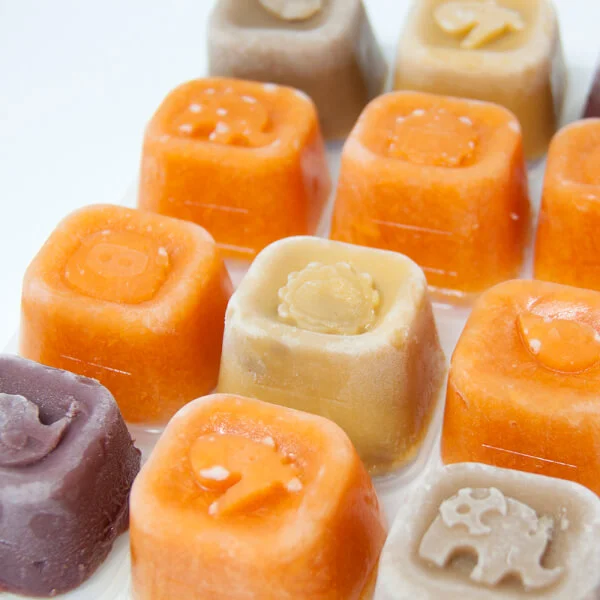 Khay silicon trữ đông đồ ăn dặm cho bé Marcus & Marcus - Ollie (60ml x 6 ngăn)