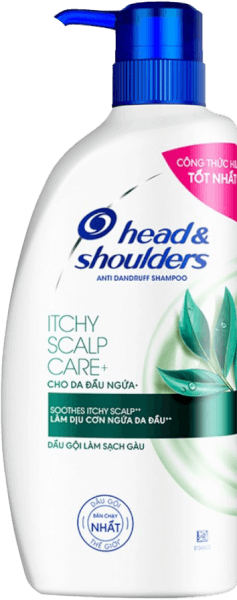 Dầu gội sạch gàu Head & Shoulders bạc hà mát rượi 625ml