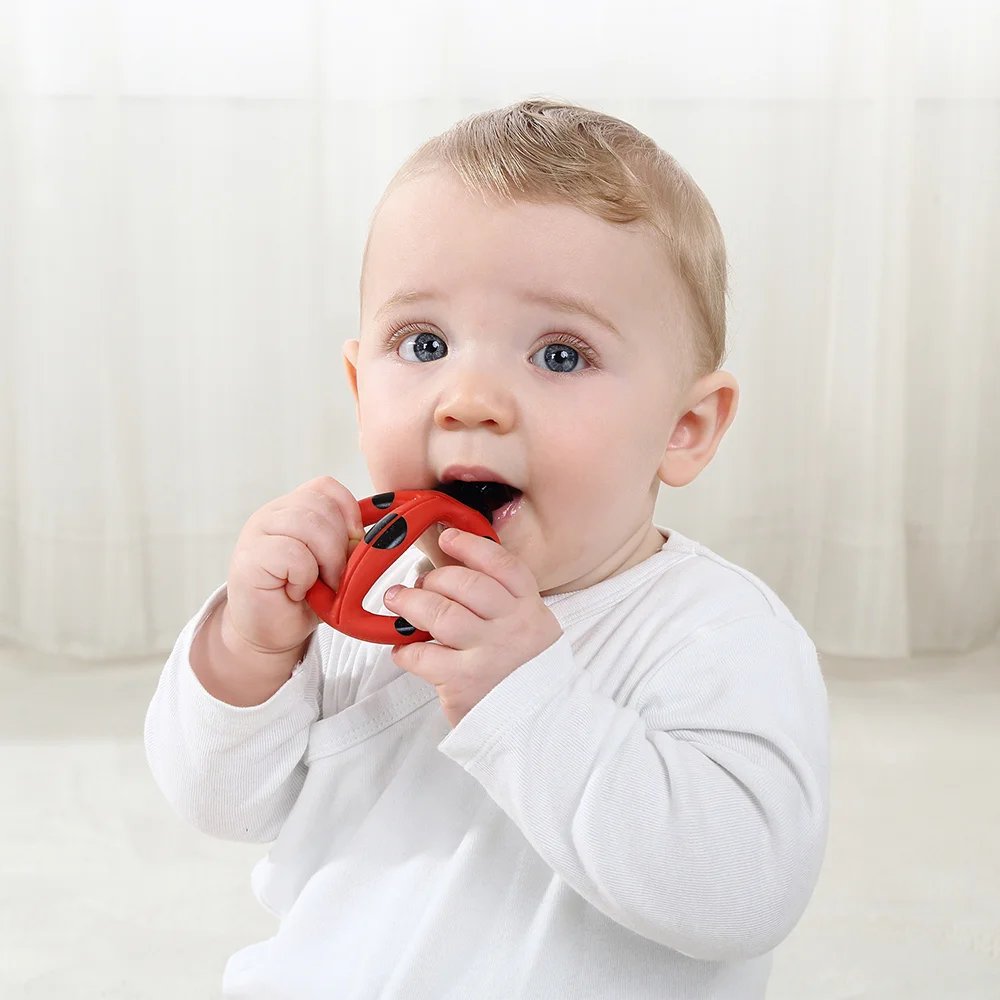 Bàn chải gặm nướu Mombella