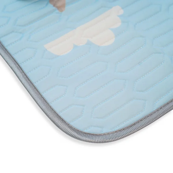 Chiếu điều hòa cao cấp cho bé Animo mèo vàng (60x120cm)