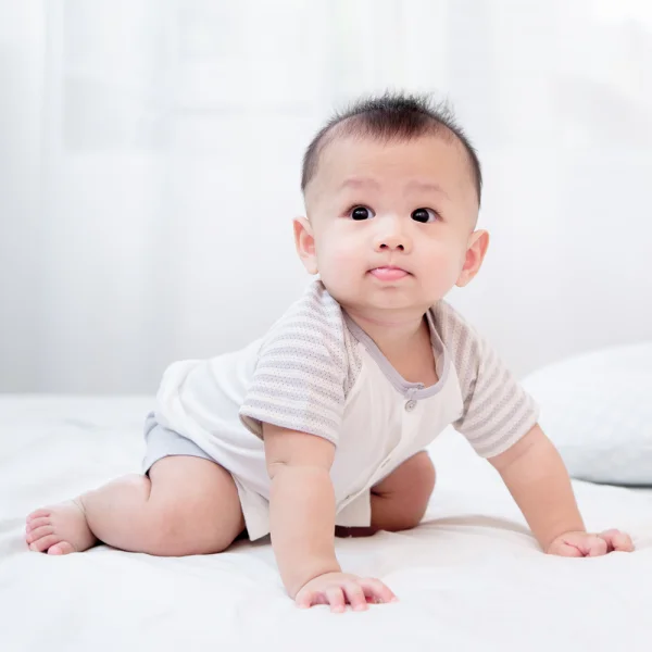 Bộ sơ sinh tính năng ngắn, vải lưới Animo I0322021 (0-12M,Xám)