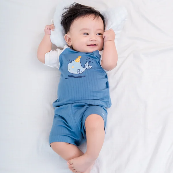 Bộ sơ sinh tính năng ngắn Chống muỗi Animo VĐ722014 (0-24M,Xanh)