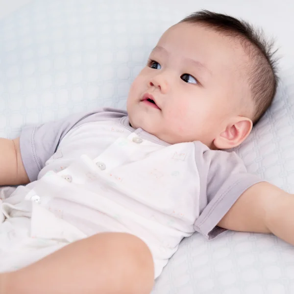 Bộ tính năng ngắn vải modal Animo VĐ522023 (0-24M,Xám)