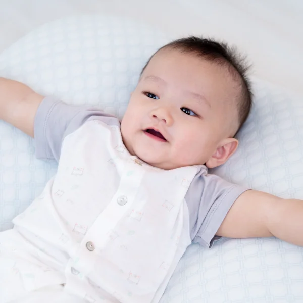 Bộ tính năng ngắn vải modal Animo VĐ522023 (0-24M,Xám)