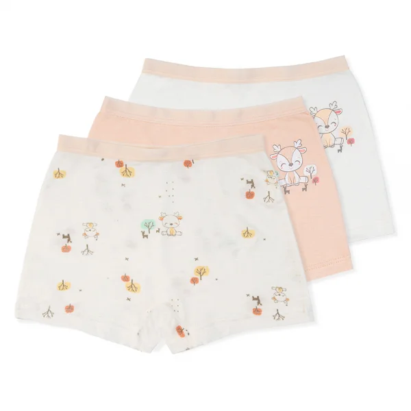 Bộ 3 quần lót bé gái đùi Animo VĐ223010 (2-6Y,Nhiều màu)