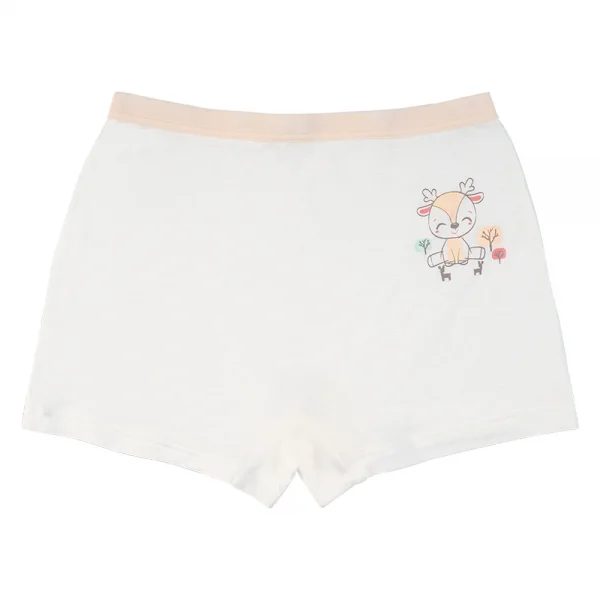 Bộ 3 quần lót bé gái đùi Animo VĐ223010 (2-6Y,Nhiều màu)