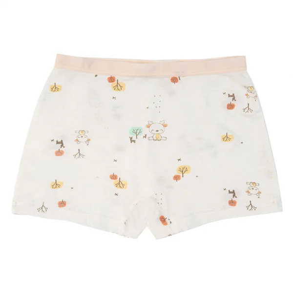 Bộ 3 quần lót bé gái đùi Animo VĐ223010 (2-6Y,Nhiều màu)