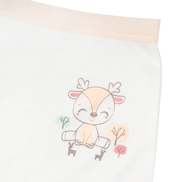 Bộ 3 quần lót bé gái đùi Animo VĐ223010 (2-6Y,Nhiều màu)