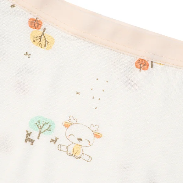 Bộ 3 quần lót bé gái đùi Animo VĐ223010 (2-6Y,Nhiều màu)