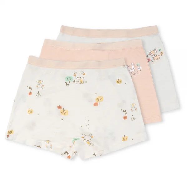 Bộ 3 quần lót bé gái đùi Animo VĐ223009 (2-6Y,Nhiều màu)