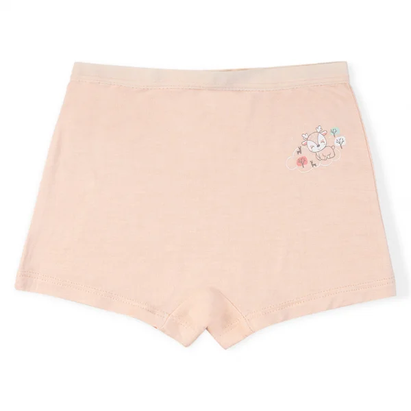 Bộ 3 quần lót bé gái đùi Animo VĐ223009 (2-6Y,Nhiều màu)