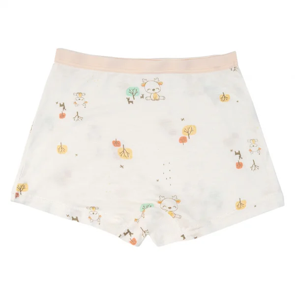 Bộ 3 quần lót bé gái đùi Animo VĐ223009 (2-6Y,Nhiều màu)