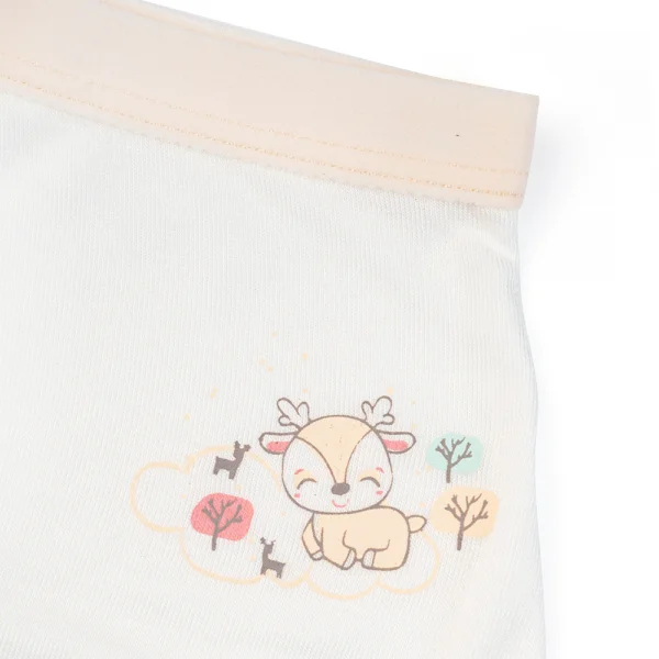 Bộ 3 quần lót bé gái đùi Animo VĐ223009 (2-6Y,Nhiều màu)