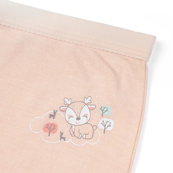 Bộ 3 quần lót bé gái đùi Animo VĐ223009 (2-6Y,Nhiều màu)