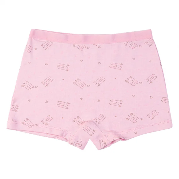 Bộ 3 quần lót bé gái đùi Animo VĐ223008 (2-6Y,Nhiều màu)