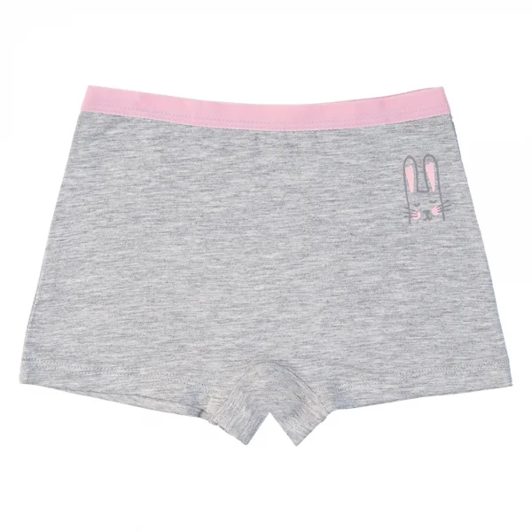 Bộ 3 quần lót bé gái đùi Animo VĐ223008 (2-6Y,Nhiều màu)