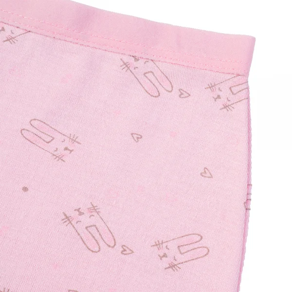 Bộ 3 quần lót bé gái đùi Animo VĐ223008 (2-6Y,Nhiều màu)