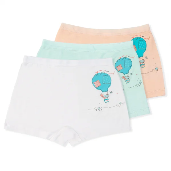 Bộ 3 quần lót bé gái đùi Animo VĐ223006 (2-6Y,Nhiều màu)