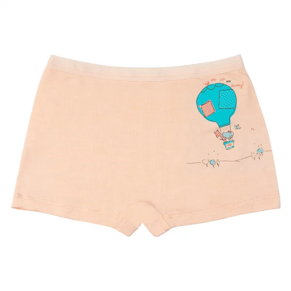 Bộ 3 quần lót bé gái đùi Animo VĐ223006 (2-6Y,Nhiều màu)